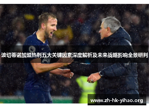 波切蒂诺加盟热刺五大关键因素深度解析及未来战略影响全景研判